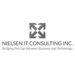 nielsen IT consulting